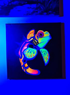 荧光画海缸装饰画海水鱼海洋生物30厘米方成品喜欢直拍