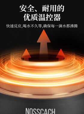 诺斯凯其多功能养生壶纯钛电水壶