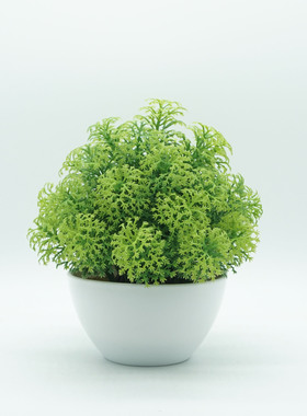 新款家居桌面绿植小盆景仿真花