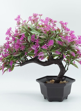 盆景新款植物桌面家居装饰仿真花