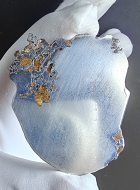 阿尔及利亚哈西橄榄陨石切片