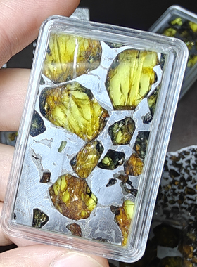 阿根廷Esquel石铁橄榄陨石切片