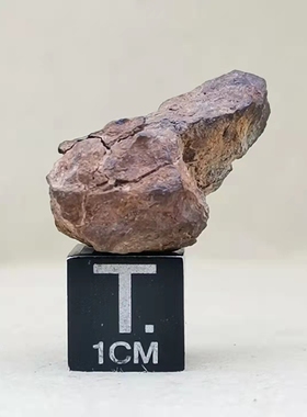 中国新疆八墙子顽辉石陨石