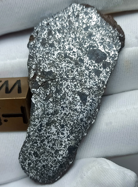 智利VacaMuerta死牛中铁陨石