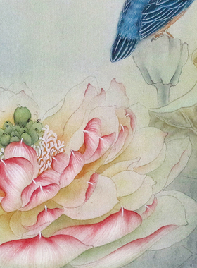 工笔画白描底稿荷花临摹杨冬步骤