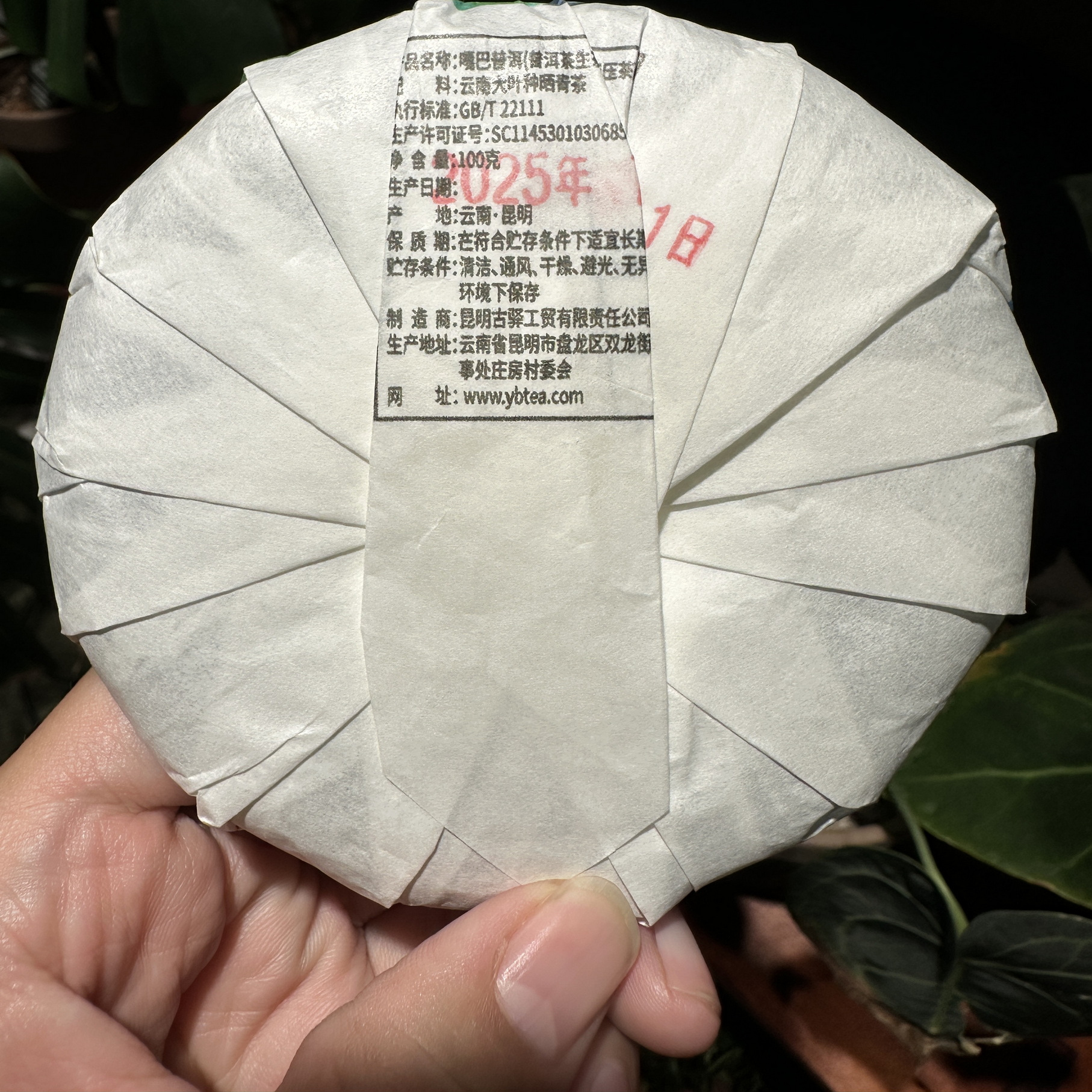 嘎巴茶普洱生茶100克饼茶叶GABA Black Tea野生古树春茶清香回甘 - 图0