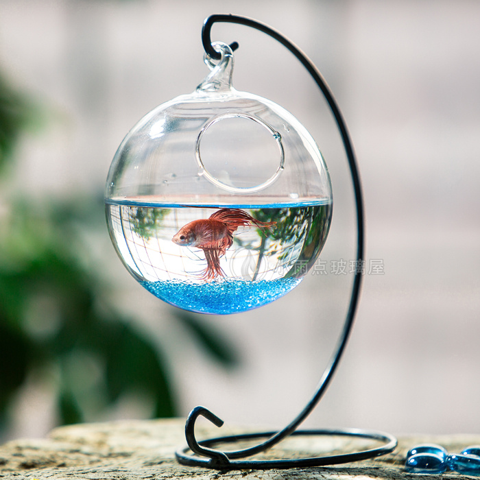 吊挂悬挂桌面斗鱼缸 蘑菇创意鱼缸 多肉植物鱼