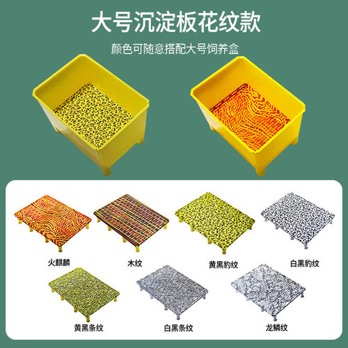 中大号发色沉淀板隔离板乌龟窄桥萨尔纹头盔果核巨头剃刀东方红面 - 图0