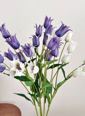 汐月风铃花仿真花家居装饰花摆件小众花材假花手捧花束拍摄道具