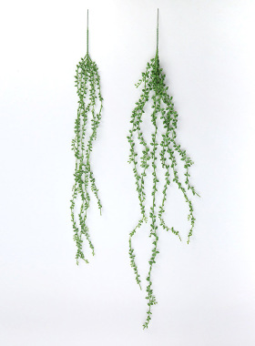 塑料多肉佛珠情人泪仿真植物假花绿植盆栽墙面壁挂藤条吊顶装饰
