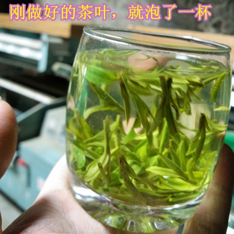 龙井43品种茶树2024年新茶高山头采扁型绿茶自家茶山茶园采摘50克