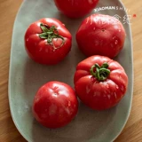 Xiaoman foods | shaanxi puyang provence томатный томатный томатный песчаный песчаная весна Sf бесплатная доставка