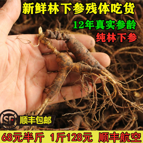 新鲜长白山人参残体吉林人参12年山参残肢泡酒煲汤人参鲜吃货人参 - 图0