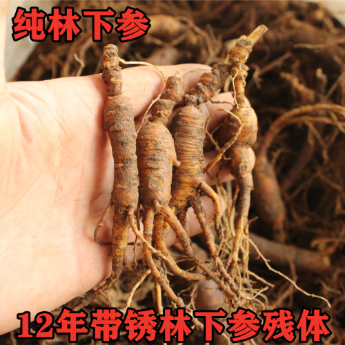新鲜长白山人参残体吉林人参12年山参残肢泡酒煲汤人参鲜吃货人参 - 图1