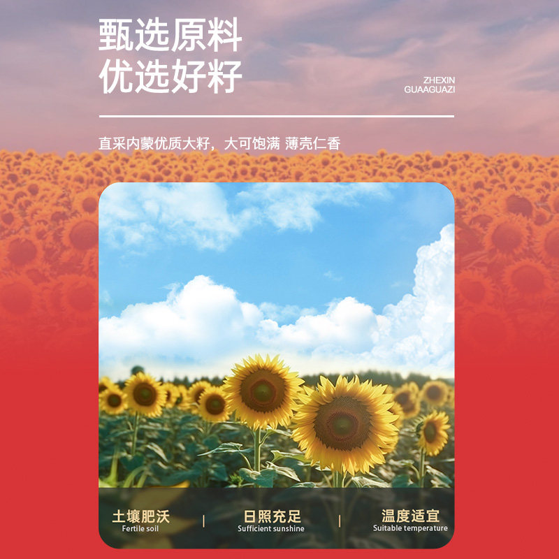 真心瓜子500g*3袋焦糖大颗粒大颗粒葵花籽办公室坚果炒货休闲零食