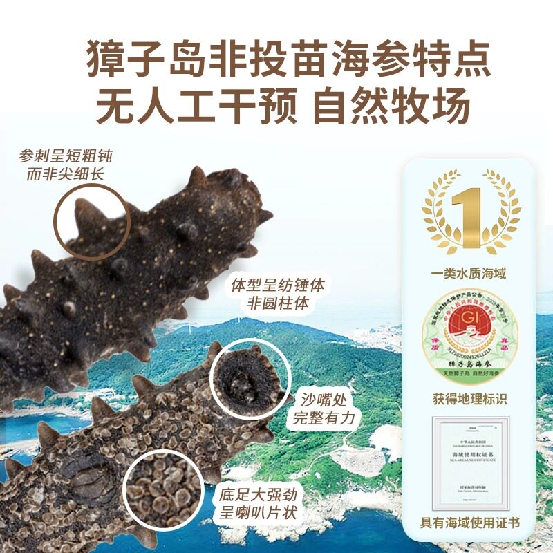 獐子岛大连底播辽参刺参小黑盒有机淡干海参50g16-20头干货礼盒装