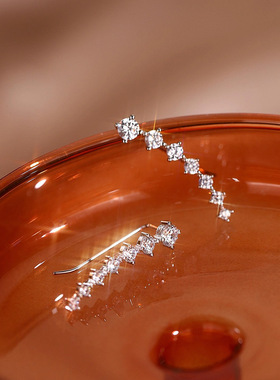 925银闪钻一排耳钉2025新爆款耳环轻奢女小众设计耳饰