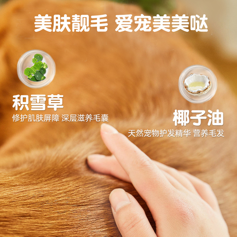 小宠肤可安清洁泡沫猫咪黑下巴清洁美毛杀菌宠物干洗专用防止油尾 - 图3