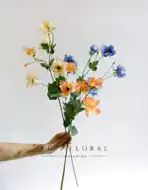 牡丹花美陈 新人首单立减十元 21年8月 淘宝海外