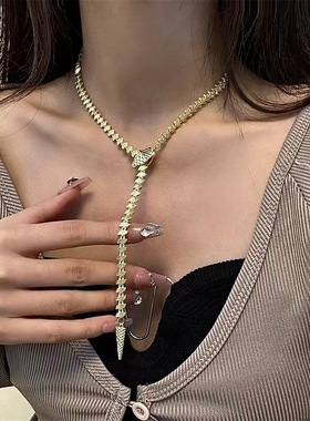 欧美夸张蛇形项链暗黑朋克风锁骨链choker颈链配饰高级小众设计感