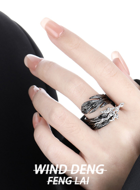 wind 个性复古黑色羽毛冷淡风高级感开口戒指女2025新款小众设计