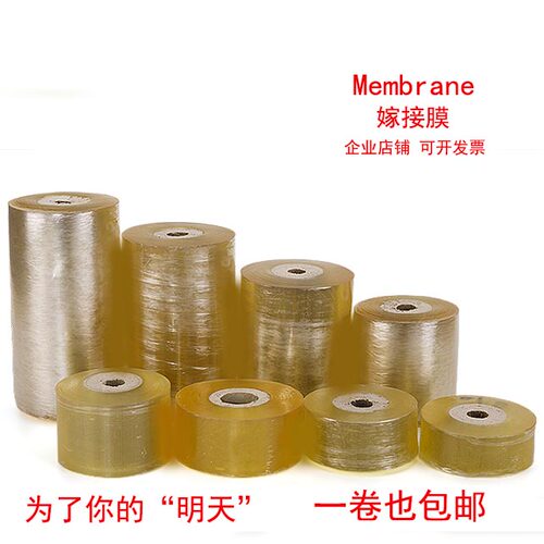 进口塑料嫁接专用膜自粘型无需打结果树嫁接绑带包扎带包装缠绕膜 - 图1