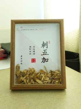 中医文创中药汤方标本中草药材单品展示装饰画摆件背景墙中医宣传