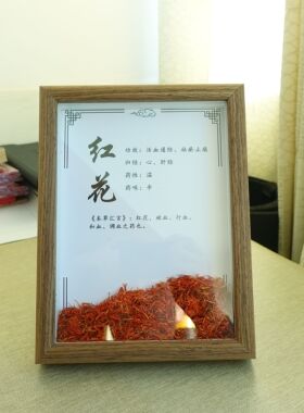 中医文创中药标本展示中药材标本装饰画中草药标本相框标本画diy