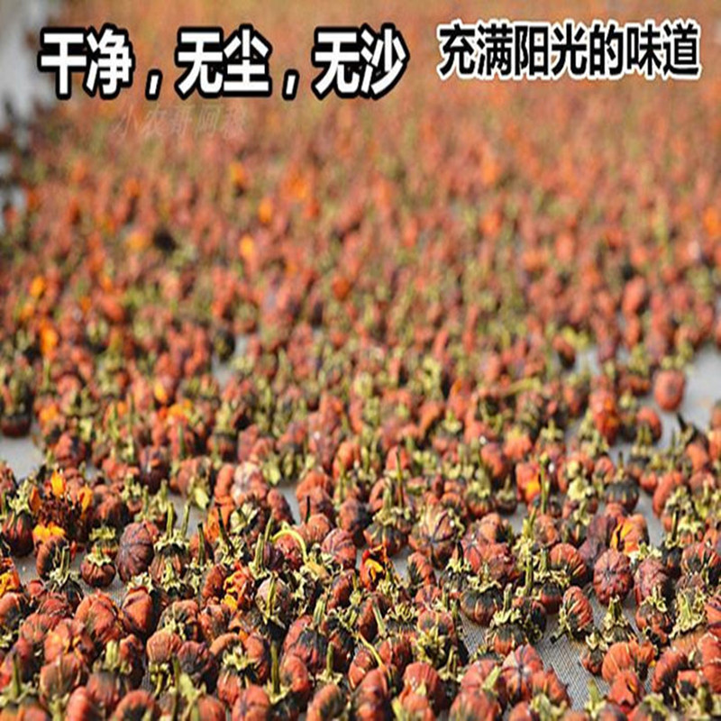 雪菊胎菊昆仑天山种植500g正品新疆天然精品胎菊血菊花茶没有硫熏
