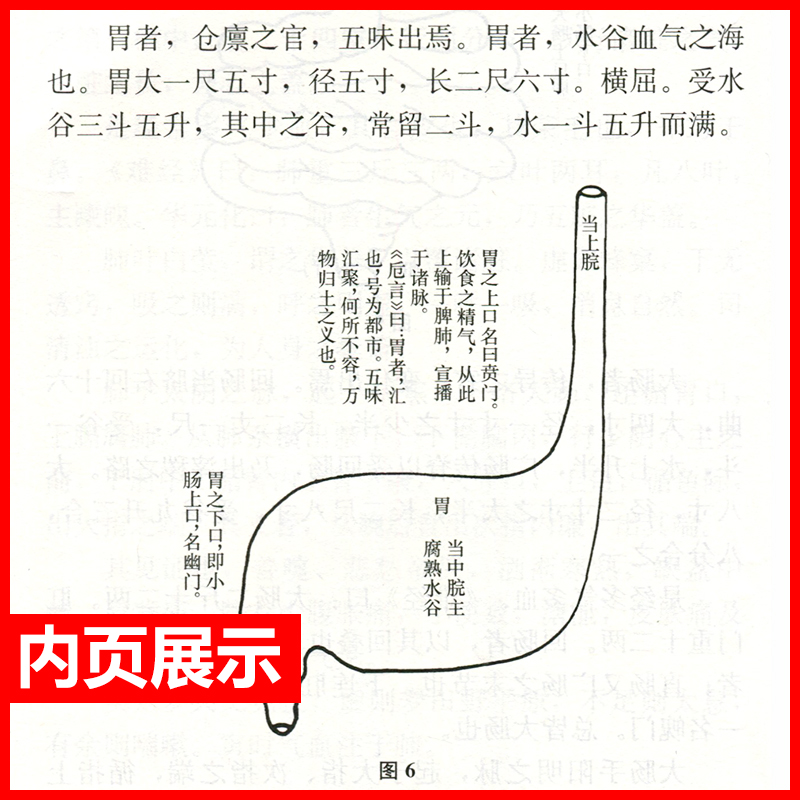 正版医宗读明李中梓郭霞珍等整理中医临床读丛书人民卫生出版社脉学诊法本草征要本草纲目内科杂病医案医论自学中医者参考使用 - 图1