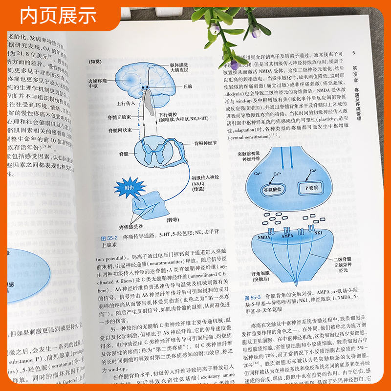 正版实用临床药物治疗学神经系统疾病适合临床医师掌握临床治疗学的基本理论 Caroline S Zeind等主编人民卫生出版社-图1