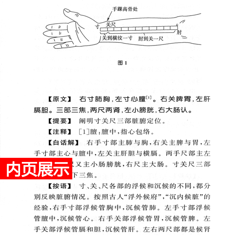 医宗金鉴白话解正版杂病心法要诀+伤寒心法要诀+四诊心法要诀浙江中医学院北京中医药大学中医临床基础系编人民卫生出版社-图1