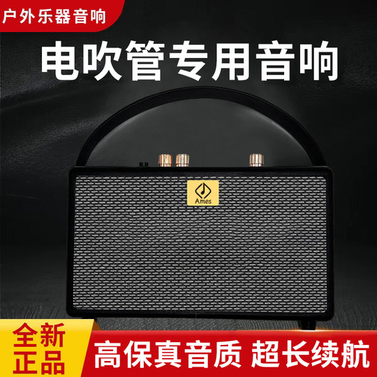 新款电吹管专用音箱户外演出家用小巧型便携式可充电蓝牙乐器音响