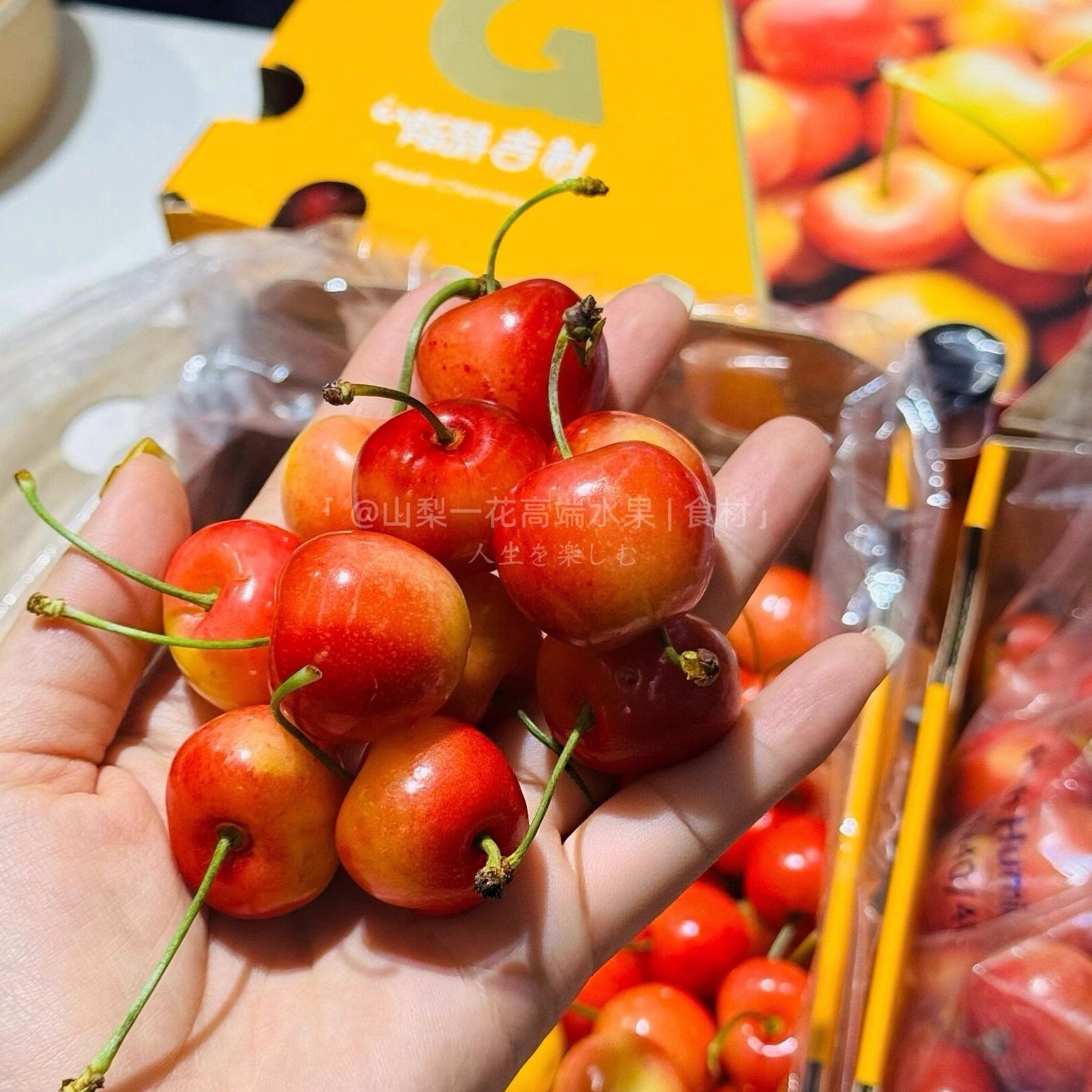 进口智利雷尼尔黄金车厘子新鲜水果4JJJJ大樱桃2斤礼盒顺丰包邮,淘宝优惠券,粉丝福利购,淘宝优惠卷