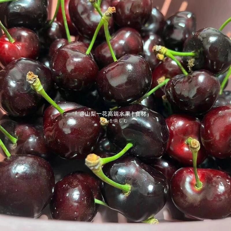 空运智利车厘子3JJJ进口新鲜水果4J大樱桃30mm+现货5斤当季礼盒,淘宝优惠券,粉丝福利购,淘宝优惠卷
