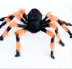 Lễ hội ma Halloween Ngày cá tháng tư Ngôi nhà ma ám Trang trí đạo cụ Tricky Toy Spider Web Simulation Spider - Sản phẩm Đảng / Magic / Hiệu suất Sản phẩm Đảng / Magic / Hiệu suất