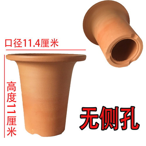 风兰花盆小红陶盆风兰富贵兰似栀子花香附生兰花矮种兰花洋小盆景 - 图1