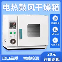 Electric Heating Thermostatic Blast Drying Cabinet Industrial Oven Laboratory oven Small medical dryer High temperature heating