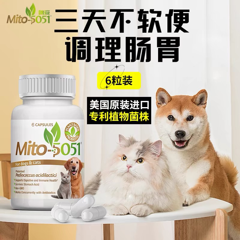 美国Mito5051乳酸片球菌宠物幼犬猫软便拉稀调理肠胃柯基狗益生菌 - 图2