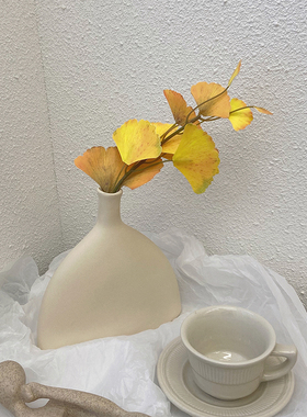 素胚简约ins风花瓶陶瓷装饰摆件