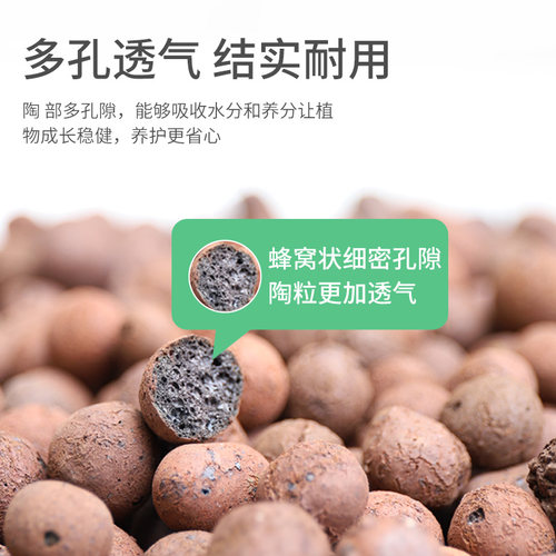 陶粒养花专用垫底花卉多肉土兰花盆透气颗粒栽水培回填铺面防烂根 - 图2