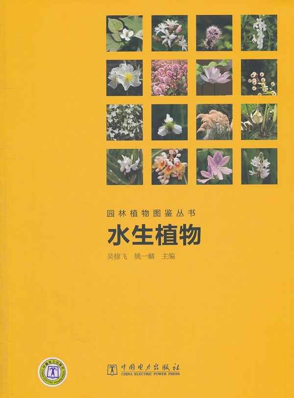 水生植物图鉴 新人首单立减十元 21年7月 淘宝海外 水生植物图鉴 新人首单立减十元 21年7月 淘宝海外