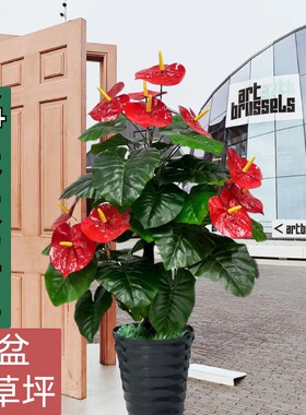 仿真红掌树家居落地摆设