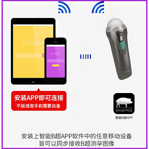 迈锐德无线b超机高清便携检孕仪兽用b超机猪用b超机母猪测孕仪b超 - 图1