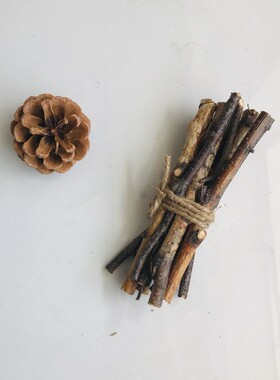 手工小捆桦树细树枝天然干枝树枝装饰 zakka自然系摄影道具摆件