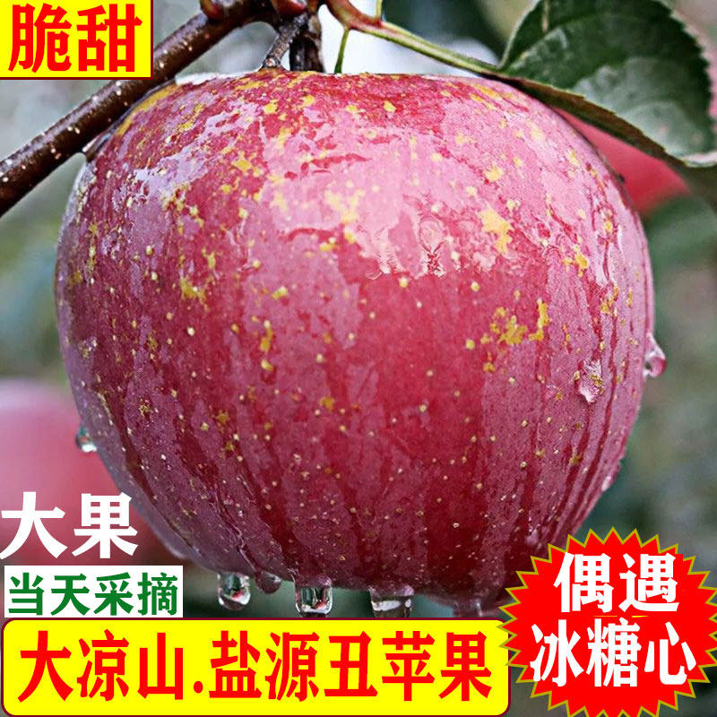 四川大凉山高海拔盐源糖心丑苹果冰糖心野生新鲜水果5斤十斤大果