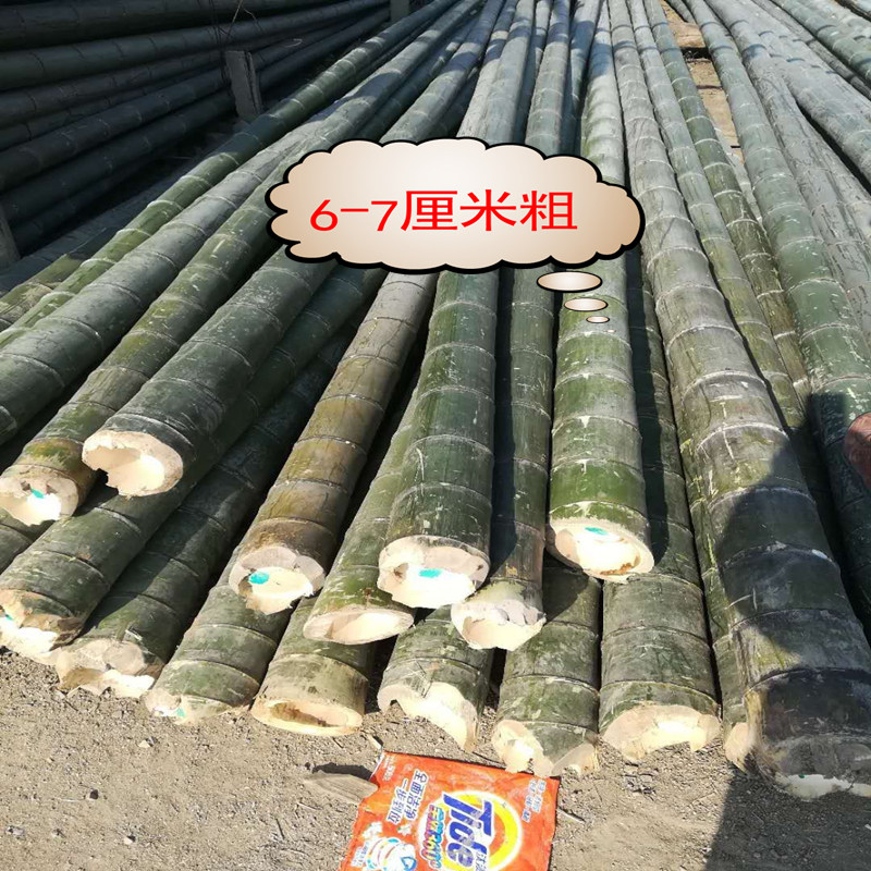 天然长竹杆1米2米3米4米5米6米竹竿粗竹竿毛竹杆旗杆跳舞杆婚庆,淘宝优惠券,粉丝福利购,淘宝优惠卷