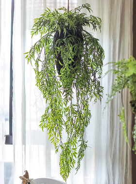 掬涵蕨类植物创意花艺橱窗吊球