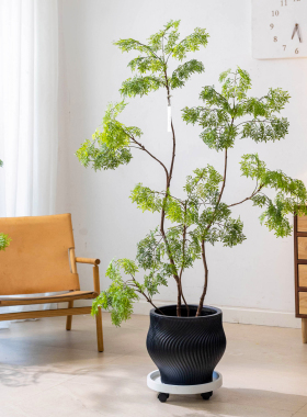 掬涵仿真植物福绿桐高级感软装饰