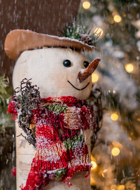 掬涵圣诞老人雪人桦木公仔摆件圣诞节装饰品节日氛围场景布置北欧